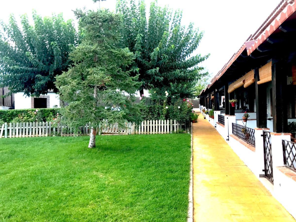 Apartamento Rural Villa Aurora Luque Ngoại thất bức ảnh